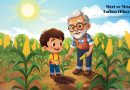 Mert ve Mısır Tarlası Hikayesi
