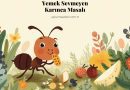 Yemek Sevmeyen Karınca Masalı